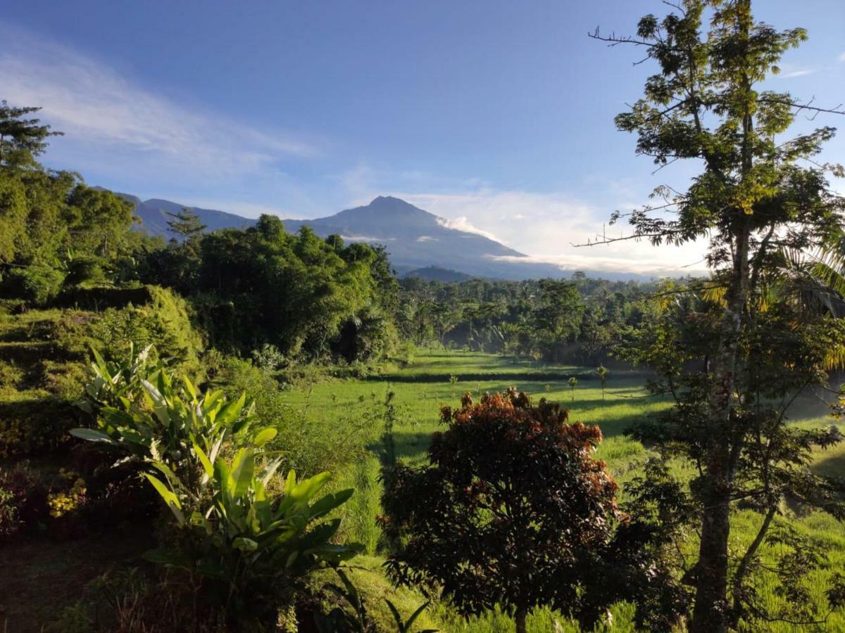 Aryasuta Bungalow Tetebatu Exterior foto